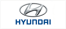 Hyundai Motor India